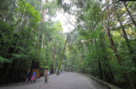 ISE Japan - November 09, 2018: Unidentified people walk a forest path to the Ise jingu shrine Ise city Japanのeditorial素材
