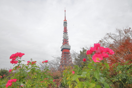 Tokyo tower in Tokyo Japanのeditorial素材