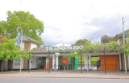 London England - June 3, 2019: People work at ZSL London Zoo London UKのeditorial素材