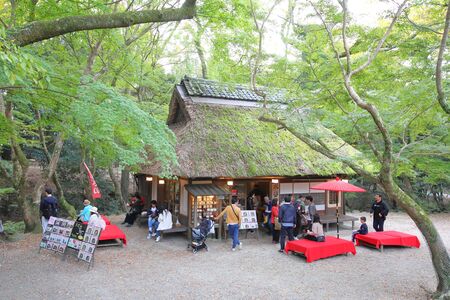 Nara Japan - November 10, 2019: Unidentified people visit Nara park cafe restaurant Nara Japanのeditorial素材