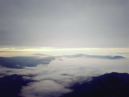 Morning Sea of Mist; Doi Pha Tung, Chiang Rai, Thailand