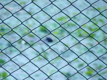 Wire fence closeup with background of Pondの写真素材