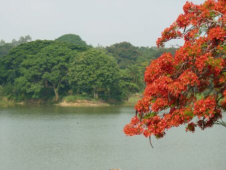 AUTUMN SCENEの写真素材