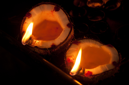 Coconut Lampsの写真素材