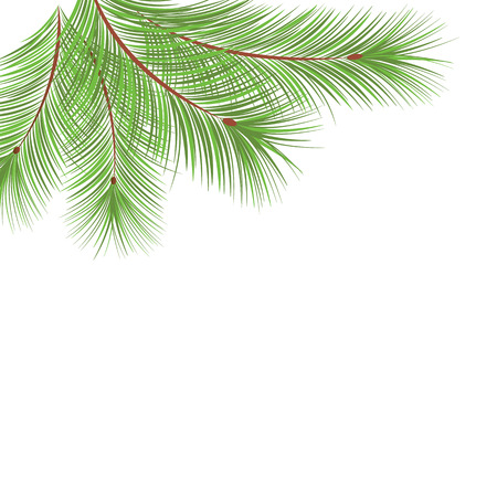 Fir tree branches frame for Christmas decoration on the white background with place for textのイラスト素材