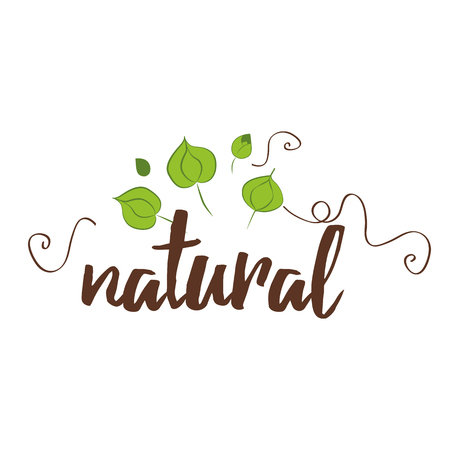 Vector illustration, food design. Handwritten lettering for restaurant, cafe menu. Text natural with green leaves for labels, logos, badges, stickers or icons. Calligraphic, typographic elementのイラスト素材