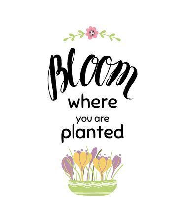 Lettering quote about flowers Gardening banner Flowers pot Crocuses bulbsのイラスト素材