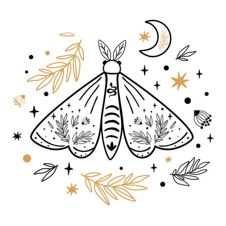 Moth isolated on white. Celestial moth. Hand drawn butterfly, moon, stars, floral branches. Moths tattoo. Vector illustration. Celestial line art decor, poster, card design. Magic celestial element.のイラスト素材