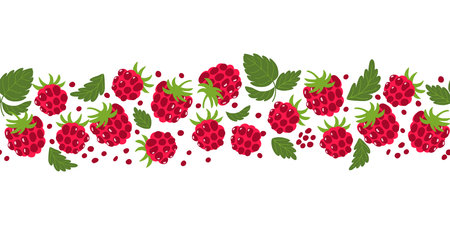 Raspberry border. Summer berries seamless border. Cute fresh fruits vector illustration. Hand drawn...