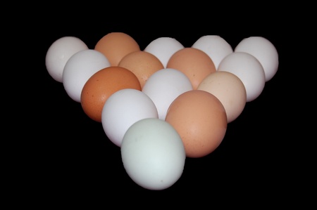 Rows of white and brown eggsの写真素材