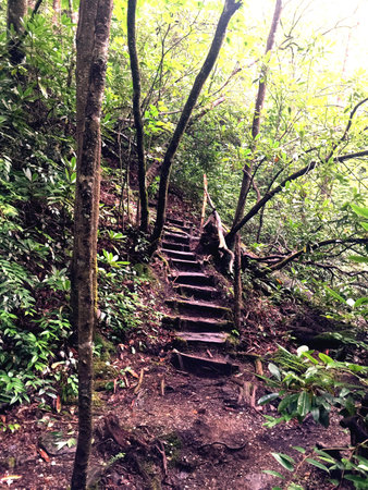 Stairs to waterfall