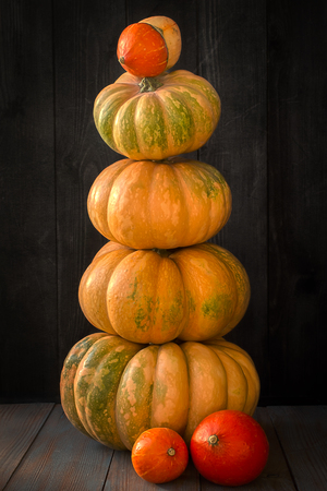 Balanced pumpkins on dark backgroundの写真素材
