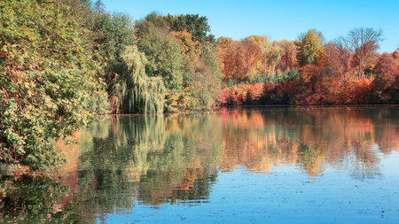 Autumn forest along the coastline is reflectedの写真素材