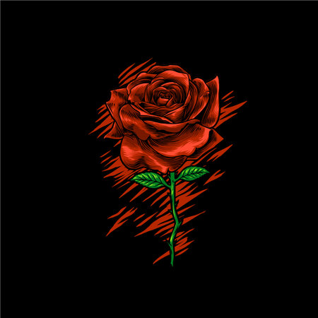 the Red rose illustration in hand drawn styleのイラスト素材