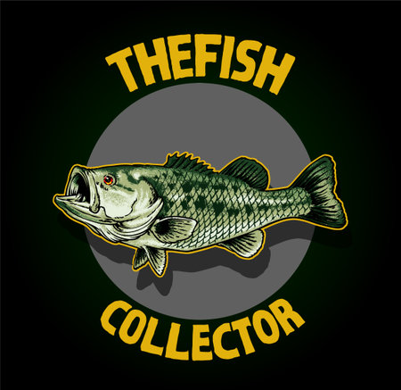 Vector image of a big bass fish isolated on a black background.のイラスト素材