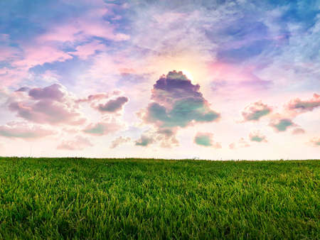 A picture of the sky over the horizon of a grass field.の写真素材