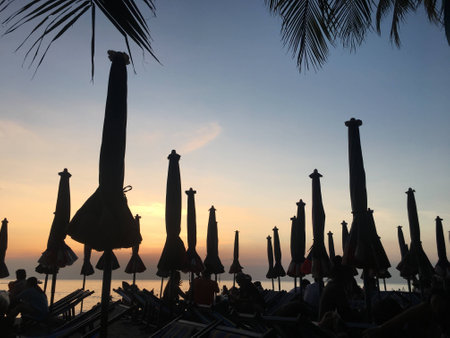 Sunset at beachの素材