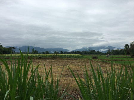 Beautiful background, field and mountainの素材