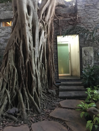 Beautiful door, modern toilet,architectureの素材