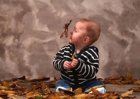 child with leaf. baby explore autumn of fall foliageの写真素材