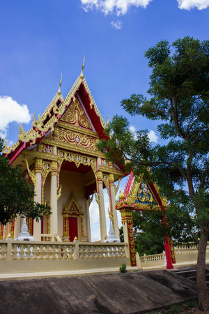 tree temple asian art at sky