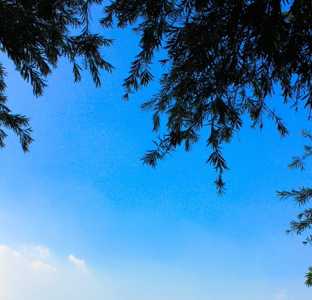 Lawn football field in companyの写真素材