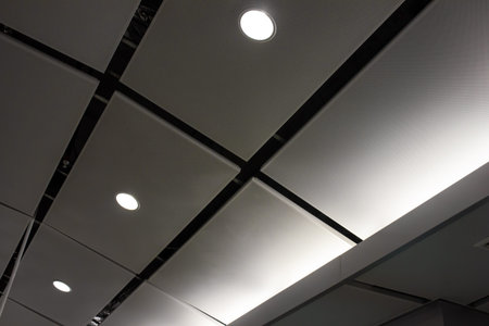 Light Ceiling building hall room