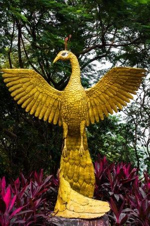 figure peacock gold Statue Wingedの写真素材