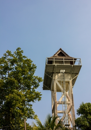 home at high Tower Woodの写真素材