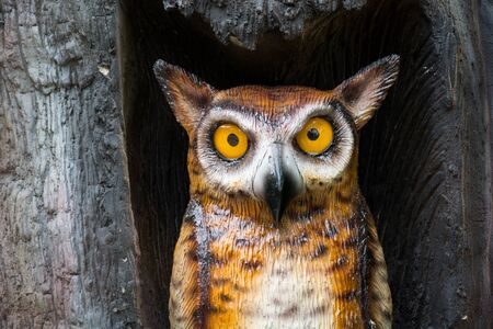 Wooden Owl statue in the treeの写真素材