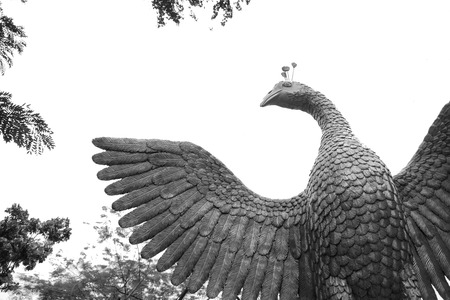 Black and white figure peacock gold Statue Winged in gardenの写真素材