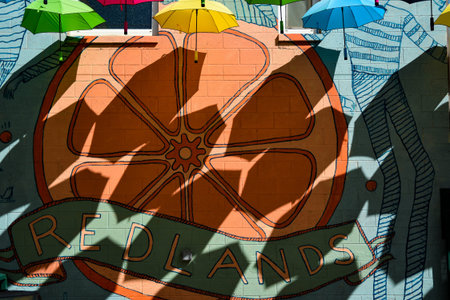 shadow of umbrellas on wallのeditorial素材