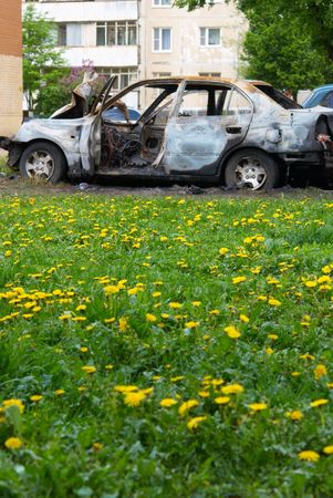 Kind on burnt down car being on a green meadowの写真素材