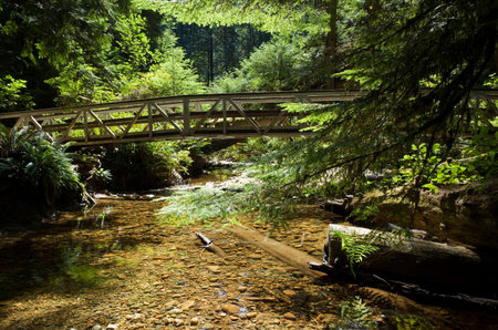Walkway over gold colored water