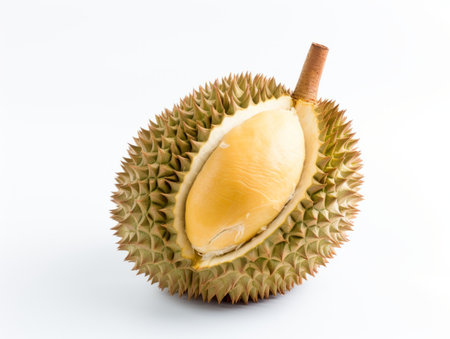 Durian fruit isolated on white background, King of Fruits.の素材