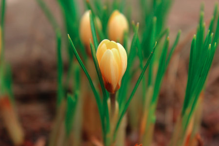 pilationの写真素材