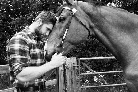 Handsome American cowboy, rider with checked, chequered shirt and jeans pets and loves his horseの写真素材
