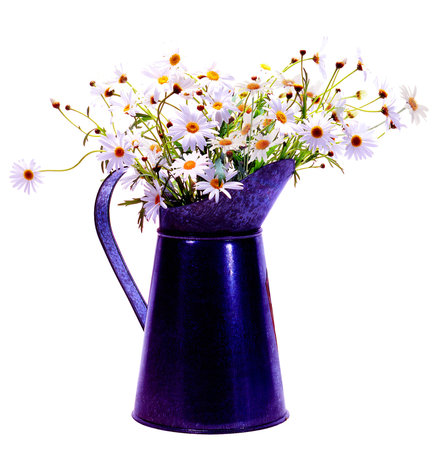 Margaretの写真素材