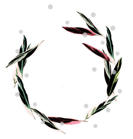 leaves leaning beyondの写真素材