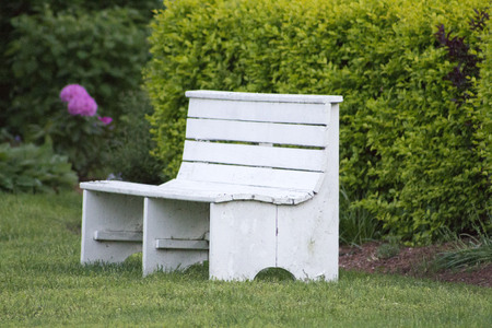 A Single White Bench in a Green Gardenの写真素材