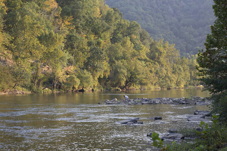 alone fisherman in the mountain streamの写真素材