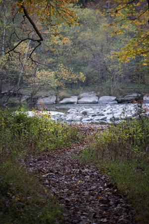 Path to the New Riverの写真素材