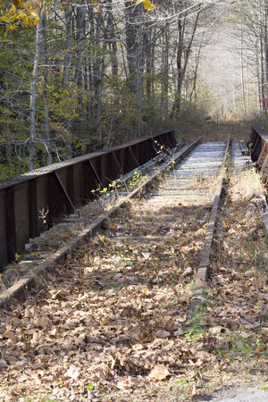 Railroad bridge covered with leavesの写真素材