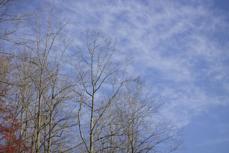 Blue sky with white cloudsの写真素材