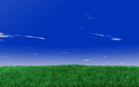 green fields on the blue skyの写真素材