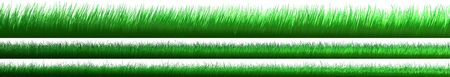 green fieldsの写真素材