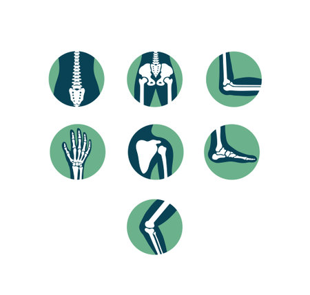 Orthopaedic physiotherapy and sport medicine circle iconsのイラスト素材