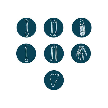 Human bones and orthopedic line vector icon setのイラスト素材