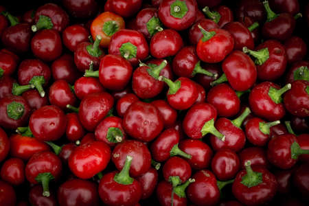 Pile of fres organic Hungarian pimento pepperの写真素材