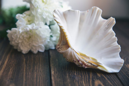 Shell on wooden table. White flowers are on the backgroundの写真素材
